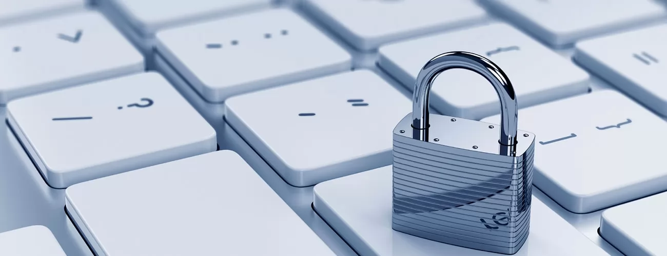 Güvenlik Şartları